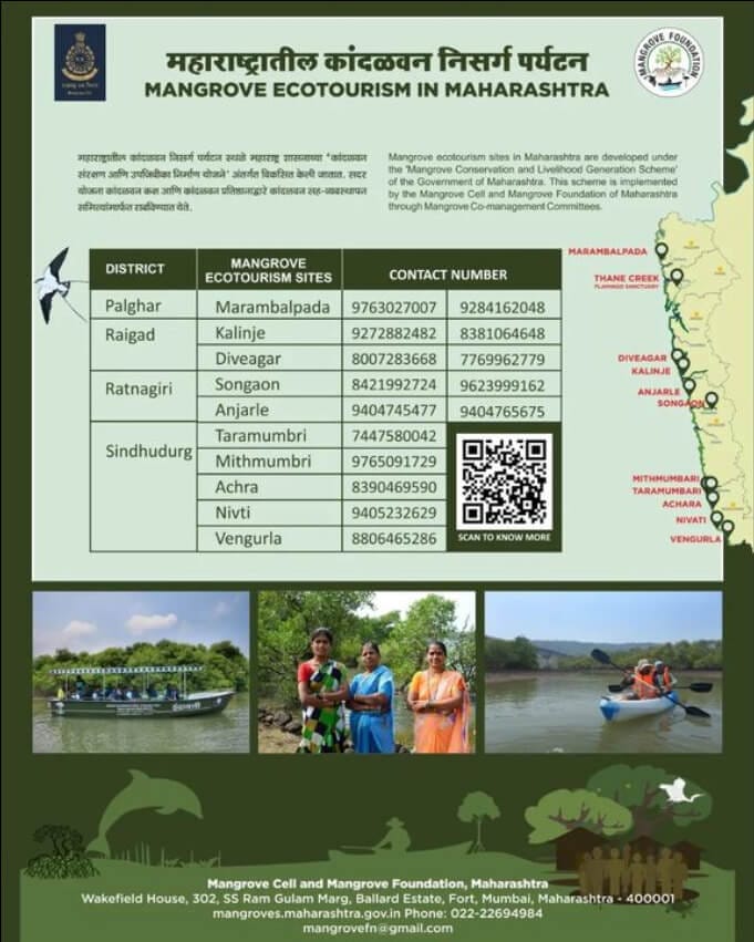 kalinje mangroves tourism contact