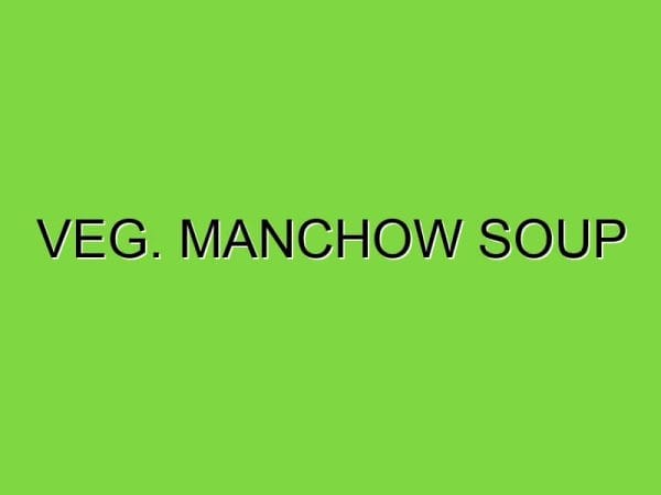 veg. manchow soup